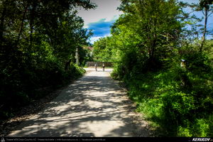 Trasee cu bicicleta MTB XC - Traseu MTB Breaza - Costisata - Bezdead - Miculesti - Sultanu - Campina de Andrei Vocurek