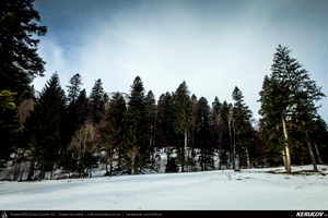 Trasee cu bicicleta MTB XC - Traseu MTB Muntii Bucegi: Busteni - Valea Cerbului - Valea Spumoasa - Poiana Tapului - Sinaia (Cascada Valea Spumoasa, Castelul Cantacuzino, Castelul Peles) de Andrei Vocurek