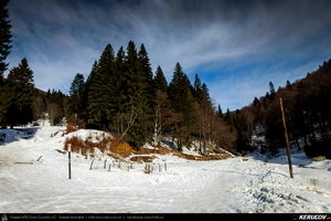 Trasee cu bicicleta MTB XC - Traseu MTB Muntii Bucegi: Busteni - Valea Cerbului - Valea Spumoasa - Poiana Tapului - Sinaia (Cascada Valea Spumoasa, Castelul Cantacuzino, Castelul Peles) de Andrei Vocurek