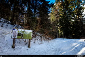 Trasee cu bicicleta MTB XC - Traseu MTB Muntii Bucegi: Busteni - Valea Cerbului - Valea Spumoasa - Poiana Tapului - Sinaia (Cascada Valea Spumoasa, Castelul Cantacuzino, Castelul Peles) de Andrei Vocurek