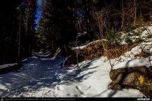 Trasee cu bicicleta MTB XC - Traseu MTB Muntii Bucegi: Busteni - Valea Cerbului - Valea Spumoasa - Poiana Tapului - Sinaia (Cascada Valea Spumoasa, Castelul Cantacuzino, Castelul Peles) de Andrei Vocurek