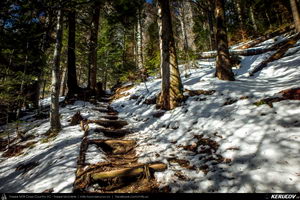 Trasee cu bicicleta MTB XC - Traseu MTB Muntii Bucegi: Busteni - Valea Cerbului - Valea Spumoasa - Poiana Tapului - Sinaia (Cascada Valea Spumoasa, Castelul Cantacuzino, Castelul Peles) de Andrei Vocurek