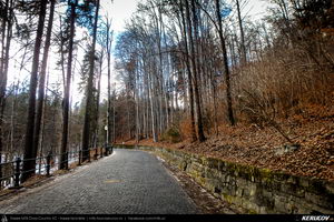 Trasee cu bicicleta MTB XC - Traseu MTB Muntii Bucegi: Busteni - Valea Cerbului - Valea Spumoasa - Poiana Tapului - Sinaia (Cascada Valea Spumoasa, Castelul Cantacuzino, Castelul Peles) de Andrei Vocurek