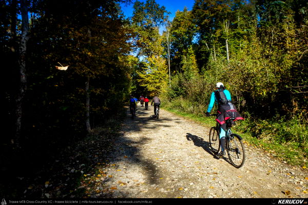 Traseu cu bicicleta MTB XC Campina - Urleta - Cocorastii Mislii - Bustenari - Poiana Trestiei - Cosminele - Dumbravesti - Plopeni - Ploiesti - KERUCOV .ro © 2007 - 2025 || #traseecubicicleta #mtb #ssp
