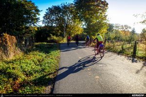 Trasee cu bicicleta MTB XC - Traseu MTB Campina - Urleta - Cocorastii Mislii - Bustenari - Poiana Trestiei - Cosminele - Dumbravesti - Plopeni - Ploiesti de Andrei Vocurek