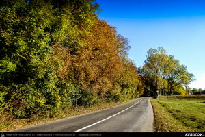 Trasee cu bicicleta MTB XC - Traseu MTB Campina - Urleta - Cocorastii Mislii - Bustenari - Poiana Trestiei - Cosminele - Dumbravesti - Plopeni - Ploiesti de Andrei Vocurek