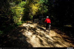 Trasee cu bicicleta MTB XC - Traseu MTB Campina - Urleta - Cocorastii Mislii - Bustenari - Poiana Trestiei - Cosminele - Dumbravesti - Plopeni - Ploiesti de Andrei Vocurek