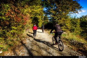 Trasee cu bicicleta MTB XC - Traseu MTB Campina - Urleta - Cocorastii Mislii - Bustenari - Poiana Trestiei - Cosminele - Dumbravesti - Plopeni - Ploiesti de Andrei Vocurek
