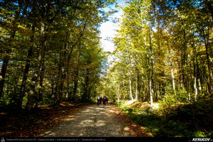 Trasee cu bicicleta MTB XC - Traseu MTB Campina - Urleta - Cocorastii Mislii - Bustenari - Poiana Trestiei - Cosminele - Dumbravesti - Plopeni - Ploiesti de Andrei Vocurek