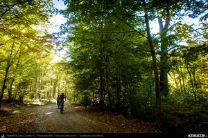 Trasee cu bicicleta MTB XC - Traseu MTB Campina - Urleta - Cocorastii Mislii - Bustenari - Poiana Trestiei - Cosminele - Dumbravesti - Plopeni - Ploiesti de Andrei Vocurek