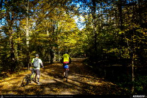 Trasee cu bicicleta MTB XC - Traseu MTB Campina - Urleta - Cocorastii Mislii - Bustenari - Poiana Trestiei - Cosminele - Dumbravesti - Plopeni - Ploiesti de Andrei Vocurek