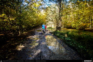 Trasee cu bicicleta MTB XC - Traseu MTB Campina - Urleta - Cocorastii Mislii - Bustenari - Poiana Trestiei - Cosminele - Dumbravesti - Plopeni - Ploiesti de Andrei Vocurek
