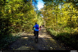 Trasee cu bicicleta MTB XC - Traseu MTB Campina - Urleta - Cocorastii Mislii - Bustenari - Poiana Trestiei - Cosminele - Dumbravesti - Plopeni - Ploiesti de Andrei Vocurek