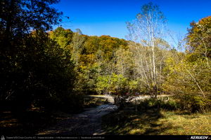 Trasee cu bicicleta MTB XC - Traseu MTB Campina - Urleta - Cocorastii Mislii - Bustenari - Poiana Trestiei - Cosminele - Dumbravesti - Plopeni - Ploiesti de Andrei Vocurek
