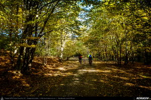 Trasee cu bicicleta MTB XC - Traseu MTB Campina - Urleta - Cocorastii Mislii - Bustenari - Poiana Trestiei - Cosminele - Dumbravesti - Plopeni - Ploiesti de Andrei Vocurek