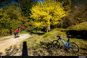 Trasee cu bicicleta MTB XC - Traseu MTB Campina - Urleta - Cocorastii Mislii - Bustenari - Poiana Trestiei - Cosminele - Dumbravesti - Plopeni - Ploiesti de Andrei Vocurek
