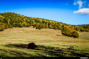 Trasee cu bicicleta MTB XC - Traseu MTB Campina - Urleta - Cocorastii Mislii - Bustenari - Poiana Trestiei - Cosminele - Dumbravesti - Plopeni - Ploiesti de Andrei Vocurek