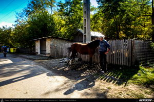 Trasee cu bicicleta MTB XC - Traseu MTB Campina - Urleta - Cocorastii Mislii - Bustenari - Poiana Trestiei - Cosminele - Dumbravesti - Plopeni - Ploiesti de Andrei Vocurek