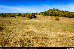 Trasee cu bicicleta MTB XC - Traseu MTB Campina - Urleta - Cocorastii Mislii - Bustenari - Poiana Trestiei - Cosminele - Dumbravesti - Plopeni - Ploiesti de Andrei Vocurek