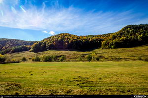 Trasee cu bicicleta MTB XC - Traseu MTB Campina - Urleta - Cocorastii Mislii - Bustenari - Poiana Trestiei - Cosminele - Dumbravesti - Plopeni - Ploiesti de Andrei Vocurek
