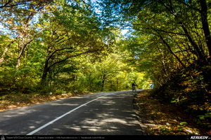 Trasee cu bicicleta MTB XC - Traseu MTB Campina - Urleta - Cocorastii Mislii - Bustenari - Poiana Trestiei - Cosminele - Dumbravesti - Plopeni - Ploiesti de Andrei Vocurek