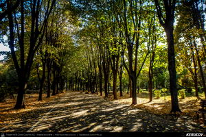 Trasee cu bicicleta MTB XC - Traseu MTB Campina - Urleta - Cocorastii Mislii - Bustenari - Poiana Trestiei - Cosminele - Dumbravesti - Plopeni - Ploiesti de Andrei Vocurek
