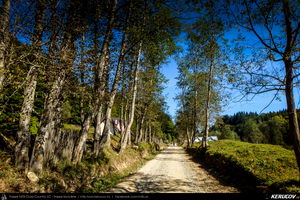 Trasee cu bicicleta MTB XC - Traseu MTB Cheia MTB Challenge 2017 - semimaraton: Cheia - Valea Stanii - Poiana Stanei - Campul Ardelii (concurs MTB) de Andrei Vocurek