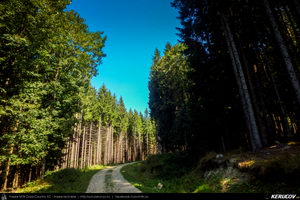 Trasee cu bicicleta MTB XC - Traseu MTB Cheia MTB Challenge 2017 - semimaraton: Cheia - Valea Stanii - Poiana Stanei - Campul Ardelii (concurs MTB) de Andrei Vocurek