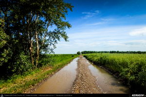 Trasee cu bicicleta MTB XC - Traseu MTB Dragos-Voda - Ivanesti - Buesti - Albesti - Andrasesti - Orboesti - Ciochina - Orezu - Crasanii de Jos - Balaciu (Campia Baraganului) de Andrei Vocurek