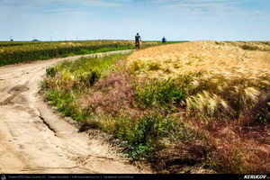 Trasee cu bicicleta MTB XC - Traseu MTB Dragos-Voda - Ivanesti - Buesti - Albesti - Andrasesti - Orboesti - Ciochina - Orezu - Crasanii de Jos - Balaciu (Campia Baraganului) de Andrei Vocurek