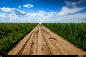 Trasee cu bicicleta MTB XC - Traseu MTB Dragos-Voda - Ivanesti - Buesti - Albesti - Andrasesti - Orboesti - Ciochina - Orezu - Crasanii de Jos - Balaciu (Campia Baraganului) de Andrei Vocurek