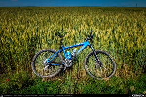 Trasee cu bicicleta MTB XC - Traseu MTB Dragos-Voda - Ivanesti - Buesti - Albesti - Andrasesti - Orboesti - Ciochina - Orezu - Crasanii de Jos - Balaciu (Campia Baraganului) de Andrei Vocurek