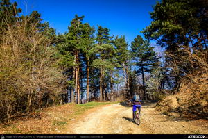 Trasee cu bicicleta MTB XC - Traseu MTB Maneciu-Ungureni - Valea Telejenelului - Chiciureni - Maneciu-Ungureni (Lacul Maneciu, Cascada Schinda) de Andrei Vocurek