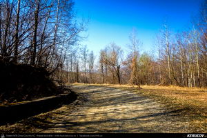 Trasee cu bicicleta MTB XC - Traseu MTB Maneciu-Ungureni - Valea Telejenelului - Chiciureni - Maneciu-Ungureni (Lacul Maneciu, Cascada Schinda) de Andrei Vocurek