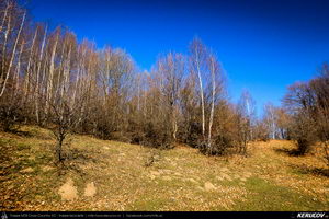 Trasee cu bicicleta MTB XC - Traseu MTB Maneciu-Ungureni - Valea Telejenelului - Chiciureni - Maneciu-Ungureni (Lacul Maneciu, Cascada Schinda) de Andrei Vocurek