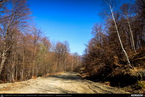 Trasee cu bicicleta MTB XC - Traseu MTB Maneciu-Ungureni - Valea Telejenelului - Chiciureni - Maneciu-Ungureni (Lacul Maneciu, Cascada Schinda) de Andrei Vocurek