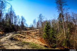 Trasee cu bicicleta MTB XC - Traseu MTB Maneciu-Ungureni - Valea Telejenelului - Chiciureni - Maneciu-Ungureni (Lacul Maneciu, Cascada Schinda) de Andrei Vocurek