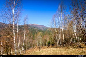 Trasee cu bicicleta MTB XC - Traseu MTB Maneciu-Ungureni - Valea Telejenelului - Chiciureni - Maneciu-Ungureni (Lacul Maneciu, Cascada Schinda) de Andrei Vocurek