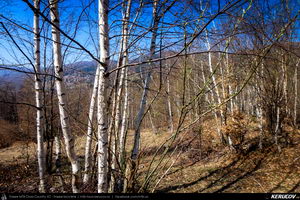 Trasee cu bicicleta MTB XC - Traseu MTB Maneciu-Ungureni - Valea Telejenelului - Chiciureni - Maneciu-Ungureni (Lacul Maneciu, Cascada Schinda) de Andrei Vocurek