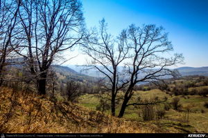 Trasee cu bicicleta MTB XC - Traseu MTB Maneciu-Ungureni - Valea Telejenelului - Chiciureni - Maneciu-Ungureni (Lacul Maneciu, Cascada Schinda) de Andrei Vocurek