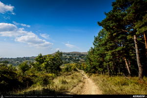 Trasee cu bicicleta MTB XC - Traseu MTB Mizil - Gura Vadului - Tohani - Jugureni - Varf - Pietroasele - Saranga - Ulmeni (Dealul Istrita) de Andrei Vocurek