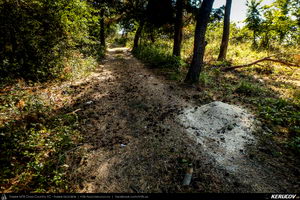 Trasee cu bicicleta MTB XC - Traseu MTB Mizil - Gura Vadului - Tohani - Jugureni - Varf - Pietroasele - Saranga - Ulmeni (Dealul Istrita) de Andrei Vocurek
