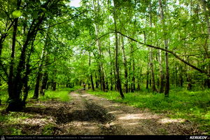 Trasee cu bicicleta MTB XC - Traseu MTB Oltenita - Stancea - Spantov - Cetatea Veche - Ulmeni - Oltenita (pe malul Dunarii) de Andrei Vocurek