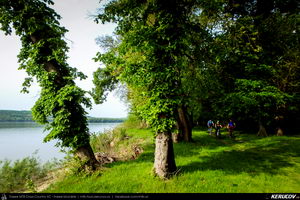 Trasee cu bicicleta MTB XC - Traseu MTB Oltenita - Stancea - Spantov - Cetatea Veche - Ulmeni - Oltenita (pe malul Dunarii) de Andrei Vocurek