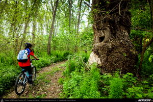 Trasee cu bicicleta MTB XC - Traseu MTB Oltenita - Stancea - Spantov - Cetatea Veche - Ulmeni - Oltenita (pe malul Dunarii) de Andrei Vocurek