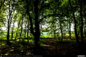 Trasee cu bicicleta MTB XC - Traseu MTB Oltenita - Stancea - Spantov - Cetatea Veche - Ulmeni - Oltenita (pe malul Dunarii) de Andrei Vocurek