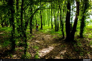 Trasee cu bicicleta MTB XC - Traseu MTB Oltenita - Stancea - Spantov - Cetatea Veche - Ulmeni - Oltenita (pe malul Dunarii) de Andrei Vocurek
