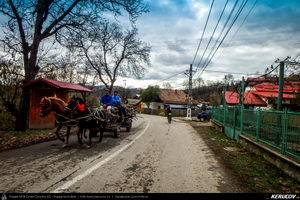 Trasee cu bicicleta MTB XC - Traseu SSP Breaza - Valea Tarsei - Adunati - Ocina de Jos - Izvoru - Provita de Sus - Provita de Jos - Poiana Campina de Andrei Vocurek