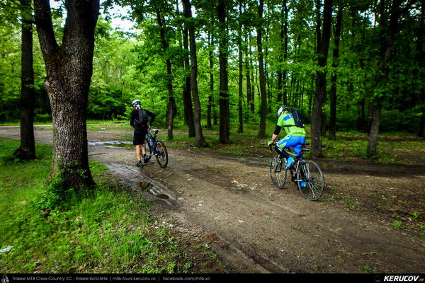 Traseu SSP Bucuresti - Colibasi - Comana - Vlad Tepes - Gradistea - 1 Decembrie - Bucuresti (bujorul de padure in Parcul Natural Comana) - KERUCOV .ro © 2007 - 2025 || #traseecubicicleta #mtb #ssp