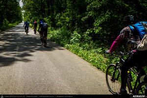 Trasee cu bicicleta MTB XC - Traseu SSP Bucuresti - Colibasi - Comana - Vlad Tepes - Gradistea - 1 Decembrie - Bucuresti (bujorul de padure in Parcul Natural Comana) de Andrei Vocurek